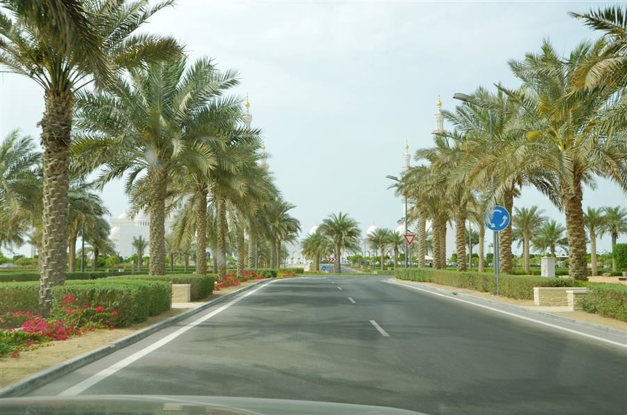 Abu Dhabi City Tour in Dubai