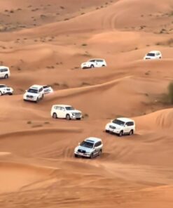 Morning Desert Safari in Dubai